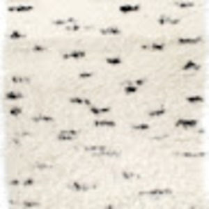 Meet your Posher, Salem